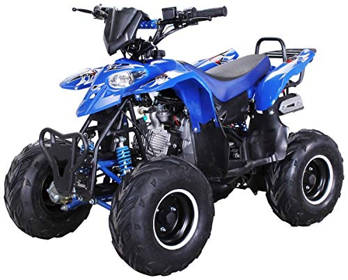 Kinder Quad S-5 Polaris Style 125 cc Motor Miniquad 125 ccm Razer (Blau)